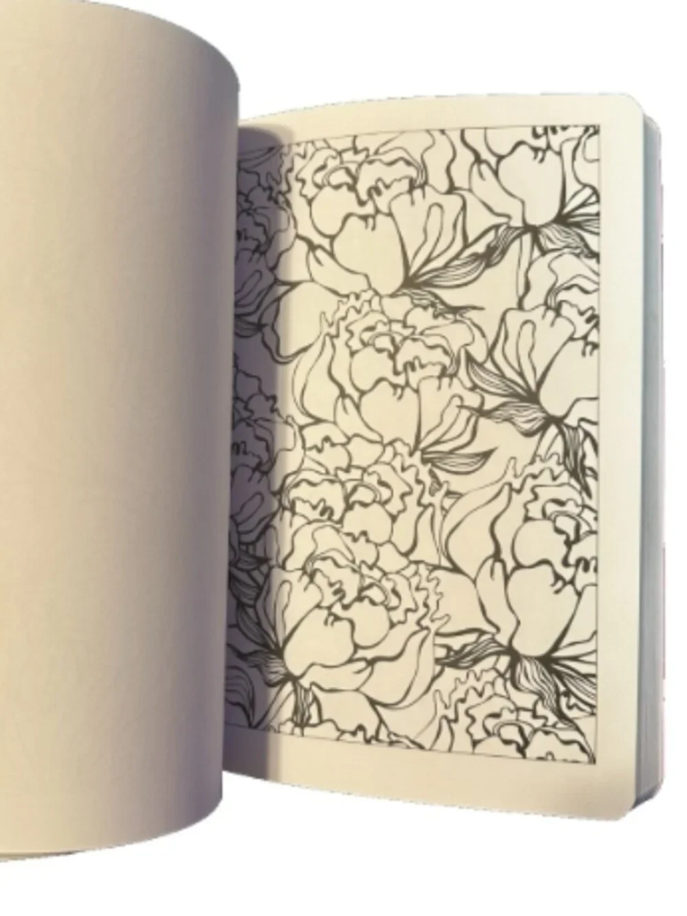The Calm Coloring Book Arcturus Publishing Adult Coloring Floral Nature Patterns